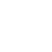 VERTEX_1